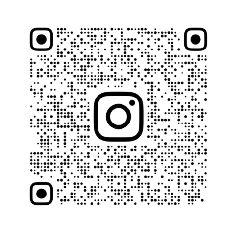 insta logo